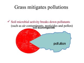 Soil microbial activity breaks down pollutants   (such as air contaminants, pesticides and pollen)   Grass mitigates pollutions 