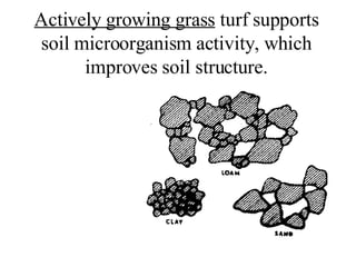 Actively growing grass  turf supports soil microorganism activity, which improves soil structure. 