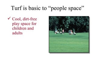 Cool, dirt-free play space for children and adults Turf is basic to “people space” 