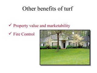 Property value and marketability Fire Control Other benefits of turf 