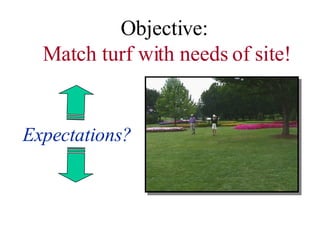 Objective:  Match turf with needs of site! Expectations? 