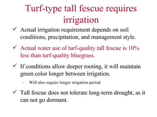Turf-type tall fescue requires irrigation Actual irrigation requirement depends on soil conditions, precipitation, and management style. Actual water use of turf-quality tall fescue is 10% less than turf-quality bluegrass. If conditions allow deeper rooting, it will maintain green color longer between irrigation. Will also require longer irrigation period Tall fescue does not tolerate long-term drought, as it can not go dormant. 