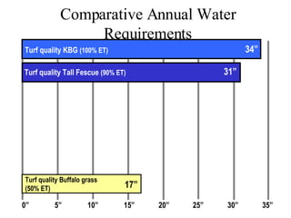 Comparative Annual Water Requirements 0” 5” 10” 15” 20” 25” 30” 35” Turf quality KBG  (100% ET) 34” Turf quality Tall Fescue  (90% ET) 31” Turf quality Buffalo grass (50% ET) 17” 