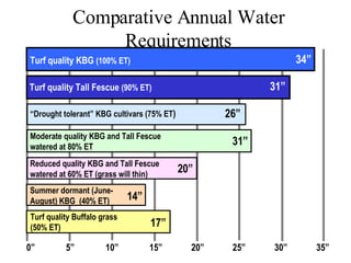 Comparative Annual Water Requirements Turf quality KBG  (100% ET) 34” Turf quality Tall Fescue  (90% ET) 31” 26” “ Drought tolerant” KBG cultivars (75% ET ) Turf quality Buffalo grass (50% ET) 17” 20” Reduced quality KBG and Tall Fescue watered at 60% ET (grass will thin) 31” Moderate quality KBG and Tall Fescue  watered at 80% ET Summer dormant (June-August) KBG  (40% ET) 14” 0” 5” 10” 15” 20” 25” 30” 35” 