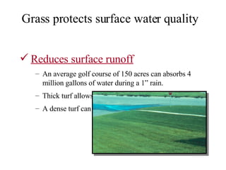 Reduces surface runoff An average golf course of 150 acres can absorbs 4 million gallons of water during a 1” rain. Thick turf allows  15 times  less runoff than a thin turf. A dense turf can reduce runoff to almost zero. Grass protects surface water quality 