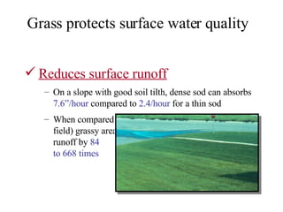 Reduces surface runoff On a slope with good soil tilth, dense sod can absorbs  7.6”/hour  compared to  2.4/hour  for a thin sod When compared to a non-grass area (like a garden or field) grassy areas reduce soil erosion caused by  runoff by  84  to 668 times Grass protects surface water quality 
