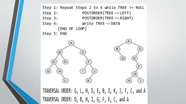 Creating a Binary tree from a General Tree.pptx | Programming Languages ...