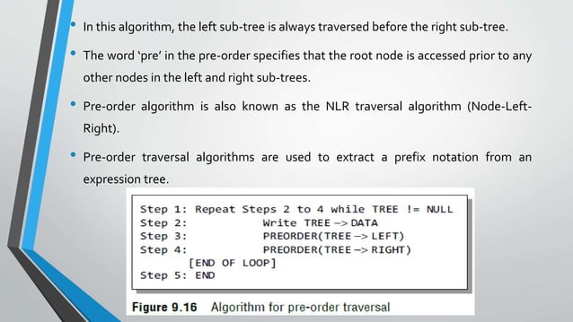 Creating a Binary tree from a General Tree.pptx | Programming Languages ...