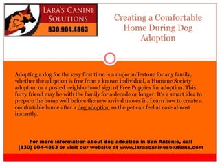 Creating a Comfortable
Home During Dog
Adoption
For more information about dog adoption in San Antonio, call
(830) 904-4863 or visit our website at www.larascaninesolutions.com
Adopting a dog for the very first time is a major milestone for any family,
whether the adoption is free from a known individual, a Humane Society
adoption or a posted neighborhood sign of Free Puppies for adoption. This
furry friend may be with the family for a decade or longer. It's a smart idea to
prepare the home well before the new arrival moves in. Learn how to create a
comfortable home after a dog adoption so the pet can feel at ease almost
instantly.
 