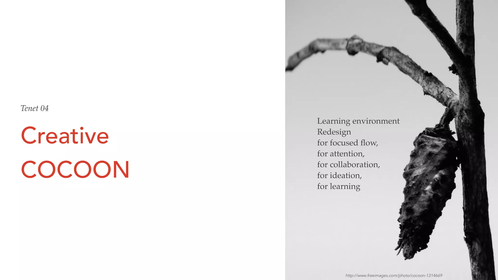Creative
COCOON
Learning environment
Redesign
for focused ﬂow,
for attention,
for collaboration,
for ideation,
for learning
Tenet 04
http://www.freeimages.com/photo/cocoon-1314669
 