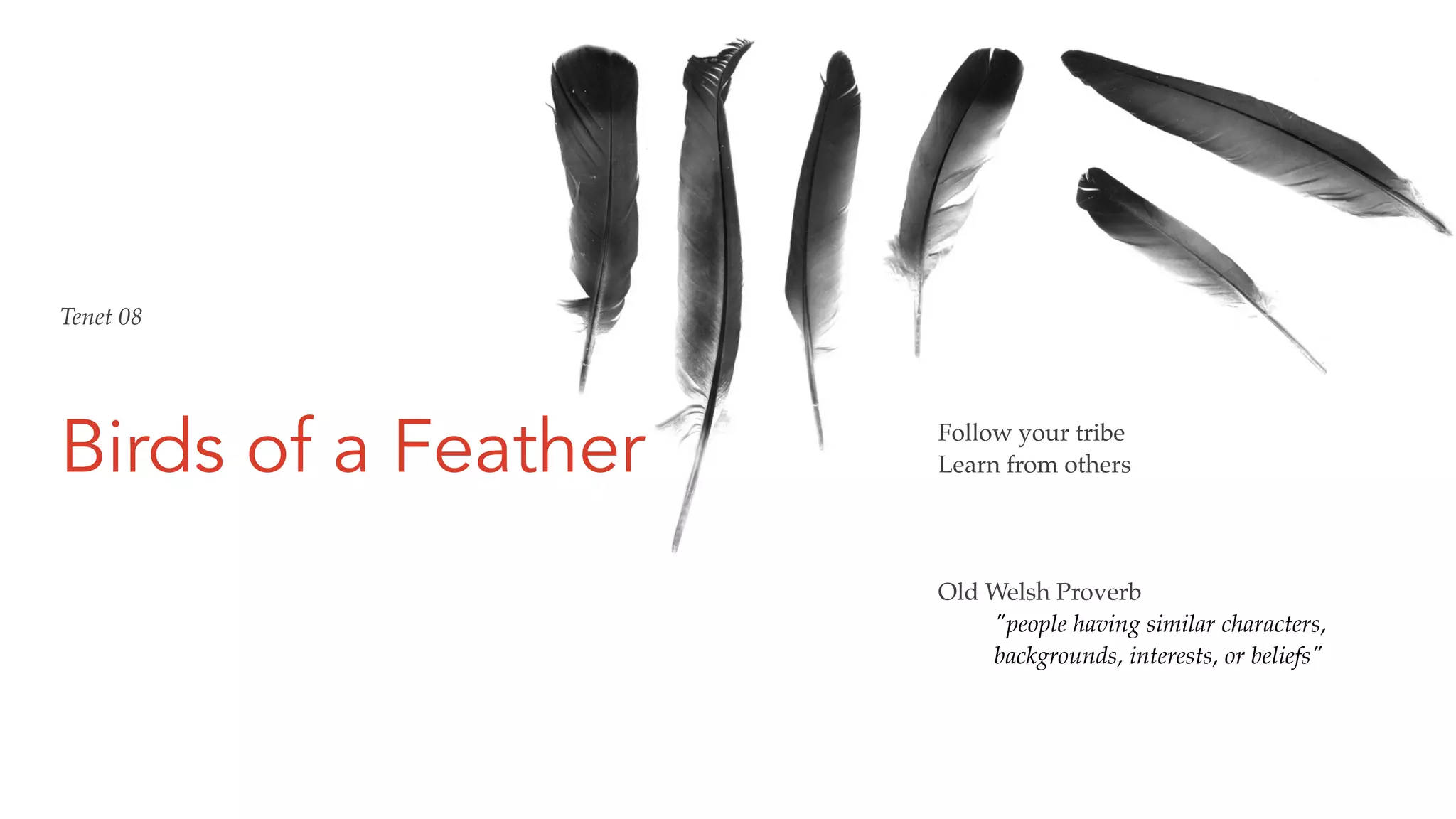 Birds of a Feather Follow your tribe
Learn from others
Old Welsh Proverb
"people having similar characters,
backgrounds, interests, or beliefs"
Tenet 08
 