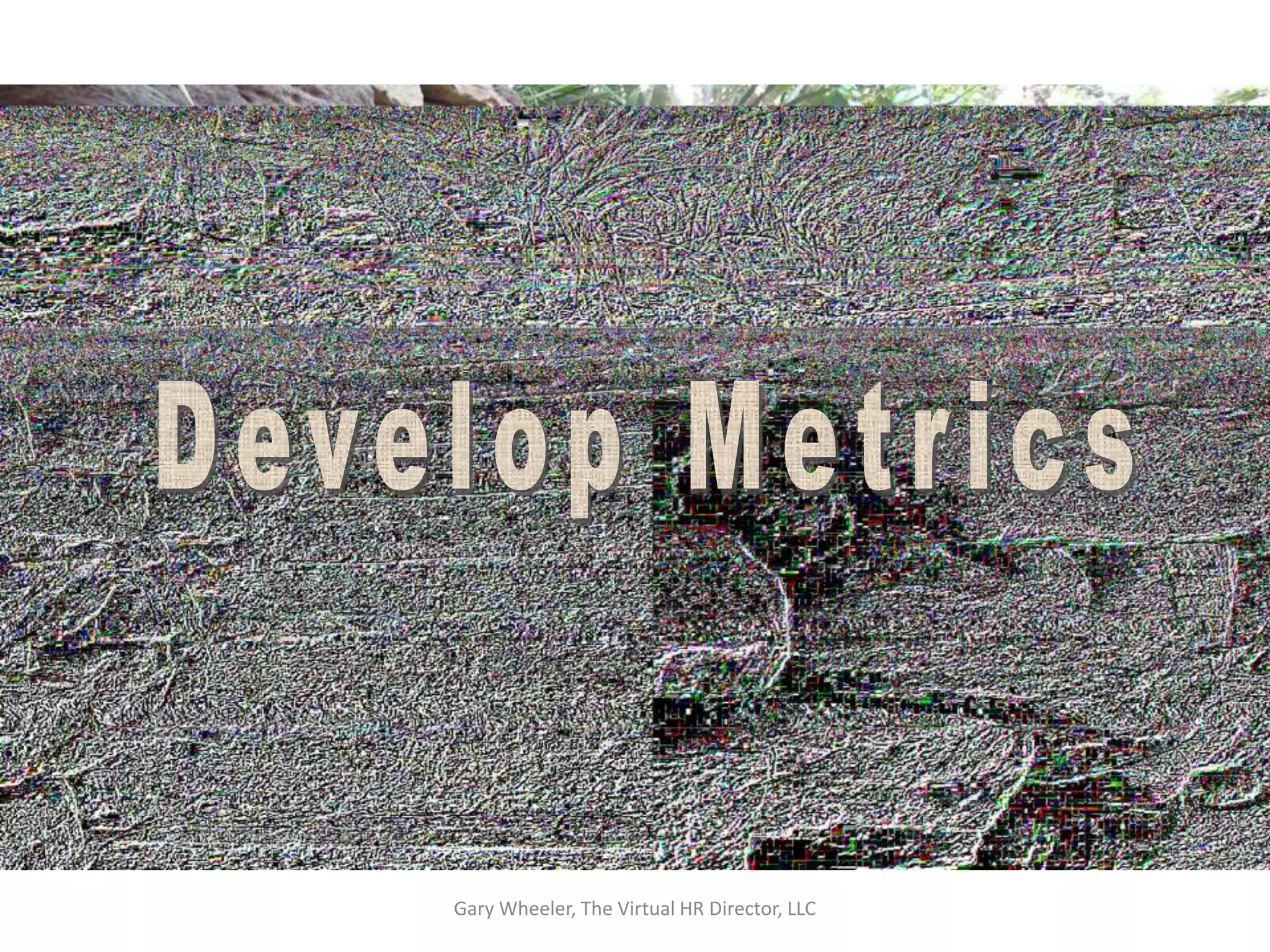 Gary Wheeler, The Virtual HR Director, LLC
 