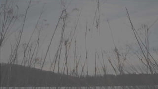 CREATING A KIND AND CARING CLASSROOM