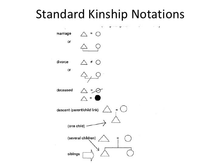 Kinship Chart Generator Online