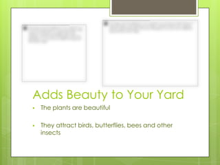 Adds Beauty to Your Yard
   The plants are beautiful

   They attract birds, butterflies, bees and other
    insects
 