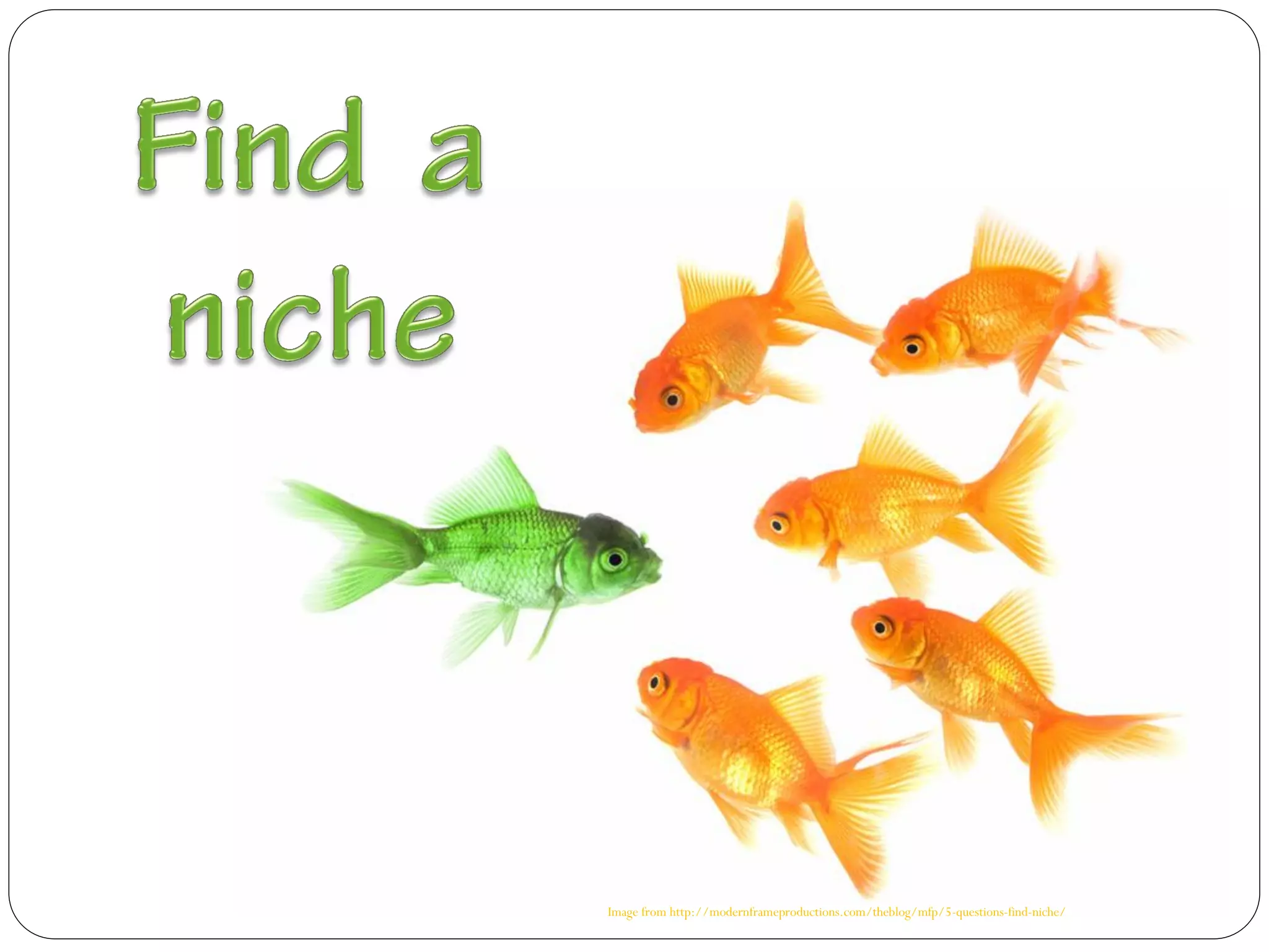 Image from http://modernframeproductions.com/theblog/mfp/5-questions-find-niche/
 
