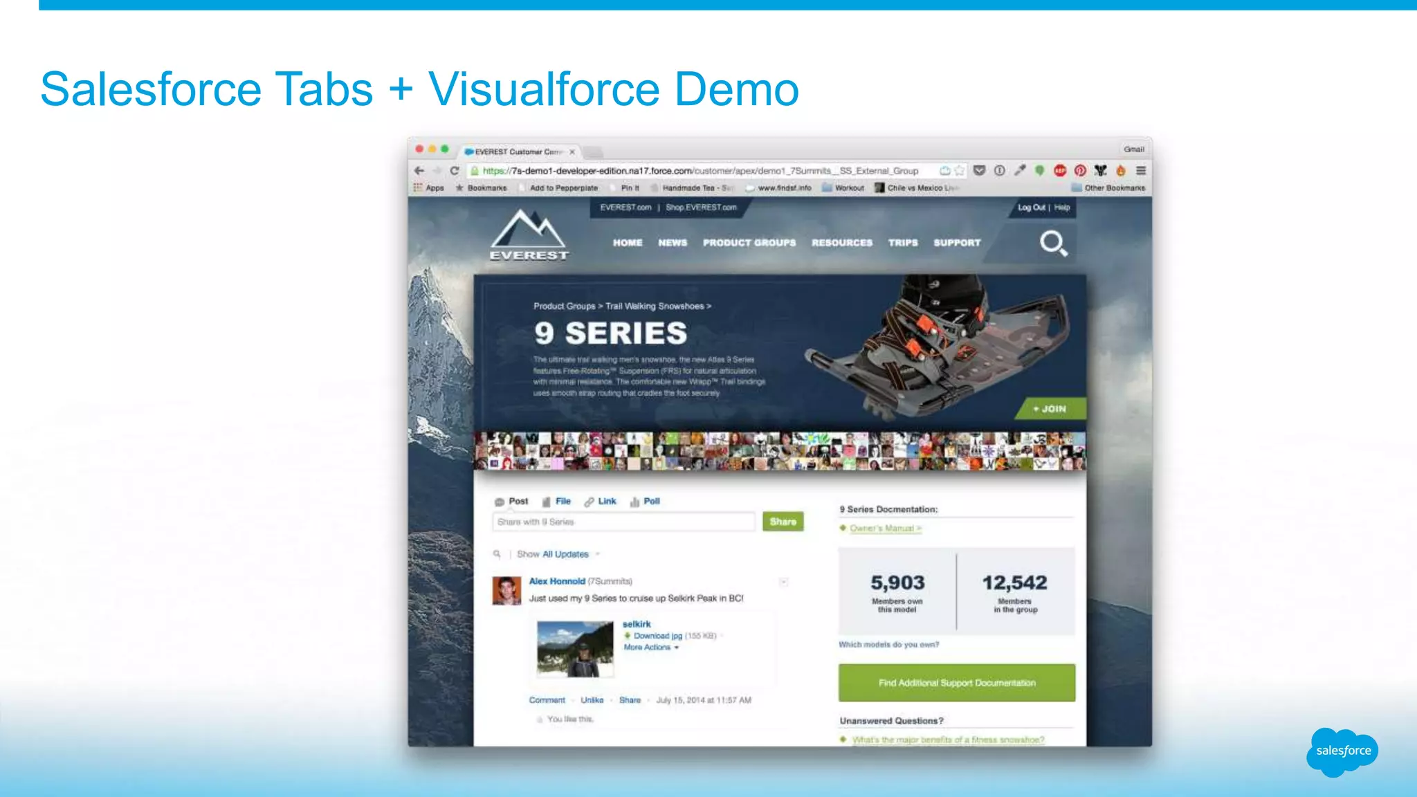 Salesforce Tabs + Visualforce Demo 