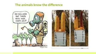 The animals know the difference  