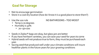 Goal for Storage 
• 
Not to encourage germination 
• 
Store in a cool dry location (how do I know it is a good place to store them?) 
• 
Use the 100 rule NO BATHROOMS – TOO MOIST 
• 
Temp is 70 degrees 
• 
Humidity is 30% 
• 
70 +30=100 
• 
Seeds in Ziploc® bags are okay, but glass jars are better 
• 
If you have heirloom varieties, you can save your seed for years to come 
• 
Hybrid seeds will not produce true to form, they must be purchased each year. 
• 
Saving seed that produced well under your climate conditions will insure healthier plants in the future years for your growing conditions  