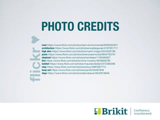 PHOTO CREDITS 
road https://www.flickr.com/photos/starr-environmental/9285304321 
architecture https://www.flickr.com/photos/wojtekgurak/4107951711 
high dive https://www.flickr.com/photos/nostri-imago/5224526190 
panic https://www.flickr.com/photos/lorenzosernicola/6842763701 
elephant https://www.flickr.com/photos/tambako/1195585627 
lion https://www.flickr.com/photos/chris-murphy/4635858790 
habitat https://www.flickr.com/photos/maureendidde/2372380396 
stop https://www.flickr.com/photos/loozrboy/2987667713 
keep out https://www.flickr.com/photos/jantik/94287848 
dogs https://www.flickr.com/photos/alancleaver/2642818946 
 