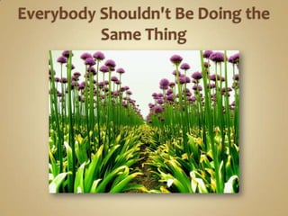 Creating A Splash On The Internet