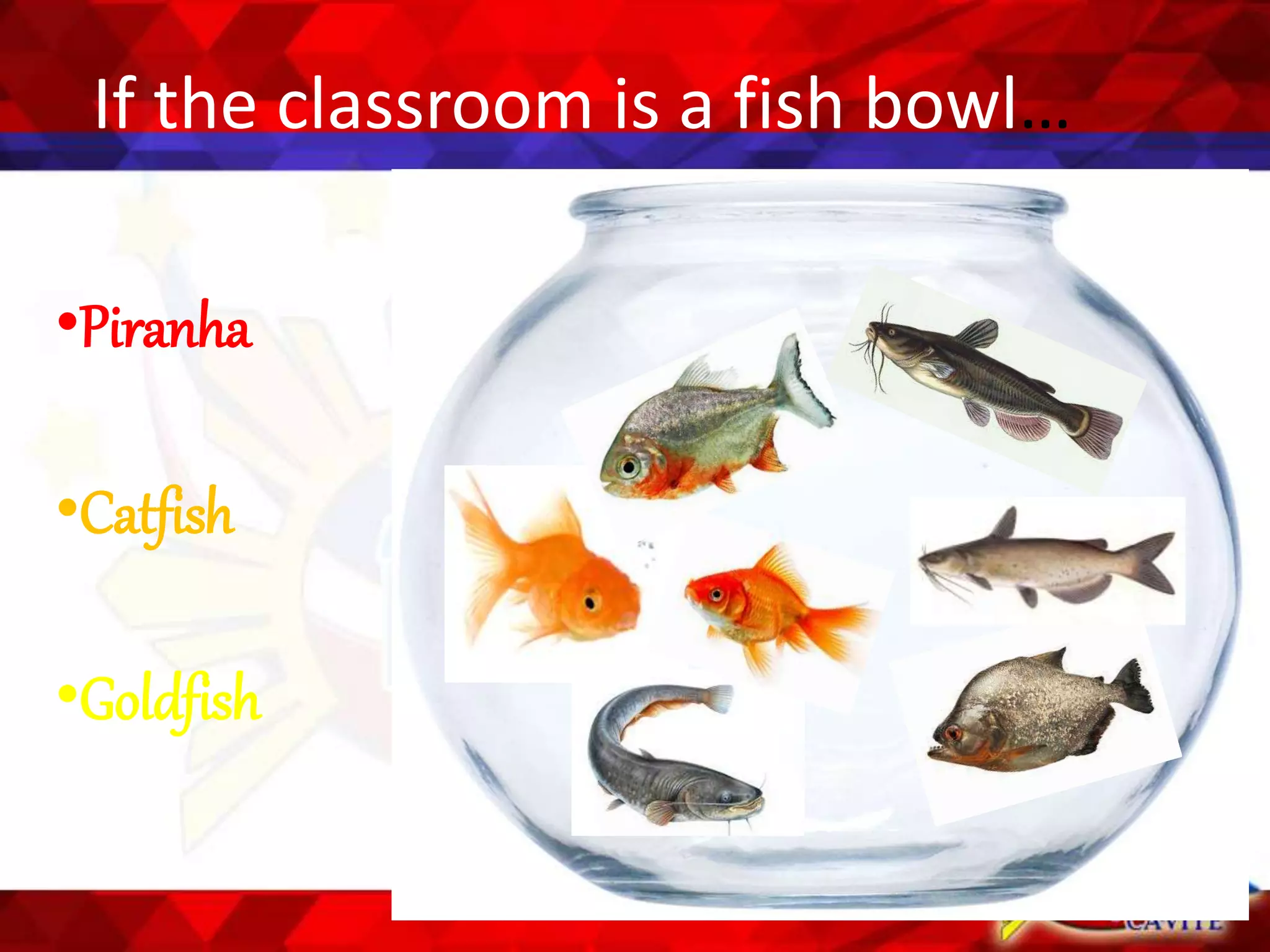 If the classroom is a fish bowl…
•Piranha
•Catfish
•Goldfish
 