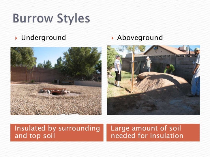 Creating A Tortoise Habitat