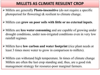 Millets are generally Photo-insensitive (do not require a specific
photoperiod for flowering) & resilient to climate change.
Millets can grow on poor soils with little or no external inputs.
Millets are less water consuming and are capable of growing under
drought conditions, under non-irrigated conditions even in very low
rainfall regimes
Millets have low carbon and water footprint (rice plant needs at
least 3 times more water to grow in comparison to millets).
Millets can withstand high temperature. In times of climate change
Millets are often the last crop standing and, thus, are a good risk
management strategy for resource-poor marginal farmers.
MILLETS AS CLIMATE RESILENT CROP
 
