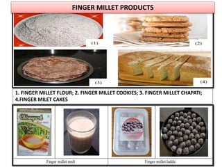 1. FINGER MILLET FLOUR; 2. FINGER MILLET COOKIES; 3. FINGER MILLET CHAPATI;
4.FINGER MILET CAKES
FINGER MILLET PRODUCTS
 