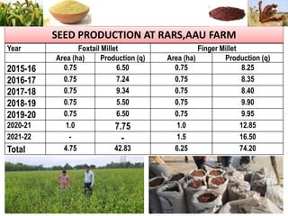 SEED PRODUCTION AT RARS,AAU FARM
Year Foxtail Millet Finger Millet
Area (ha) Production (q) Area (ha) Production (q)
2015-16 0.75 6.50 0.75 8.25
2016-17 0.75 7.24 0.75 8.35
2017-18 0.75 9.34 0.75 8.40
2018-19 0.75 5.50 0.75 9.90
2019-20 0.75 6.50 0.75 9.95
2020-21 1.0 7.75 1.0 12.85
2021-22 - - 1.5 16.50
Total 4.75 42.83 6.25 74.20
 