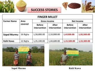 SUCCESS STORIES
FINGER MILLET
Farmer Name Area
covered
Gross income Net Income
Before
intervention
After
intervention
Before
intervention
After
intervention
Sopol Murmu 16 Bigha 1,58,000.00 2,10,000.00 1,41500.00 1,92,500.00
Rafel Kawa 12 Bigha 1,35,100.00 1,44,600.00 1,15,500.00 1,33,300.00
Sopol Murmu Rafel Kawa
 