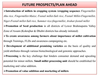 FUTURE PROSPECTS/PLAN AHEAD
Introduction of millets in cropping system /cropping sequence Fingermillet-
Ahu rice, Fingermillet-Maize; Foxtail millet-Sali rice, Foxtail Millet-Fingermillet,
Niger-Foxtail millet-Sali rice, Summer rice-fingermillet, Arahar-foxtail millet
Promotion of Seed production in all districts of Lower Brahmaputra Valley
Zone of Assam (Kokrajhar & Dhubri districts has already initiated)
To create awareness among farmers about importance of millet cultivation
through Trainings, FLDs and awareness campaigning etc.
 Development of additional promising varieties on the basis of quality and
yield attributes through various biotechnological and genomic approaches.
Processing is the key challenge that hinders consumer demand and upscaling
potential for minor millets. Small millet processing unit should be established for
marketing and value addition.
Promotion of value addition and marketing of millets
 