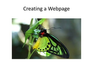 Creating a Webpage 