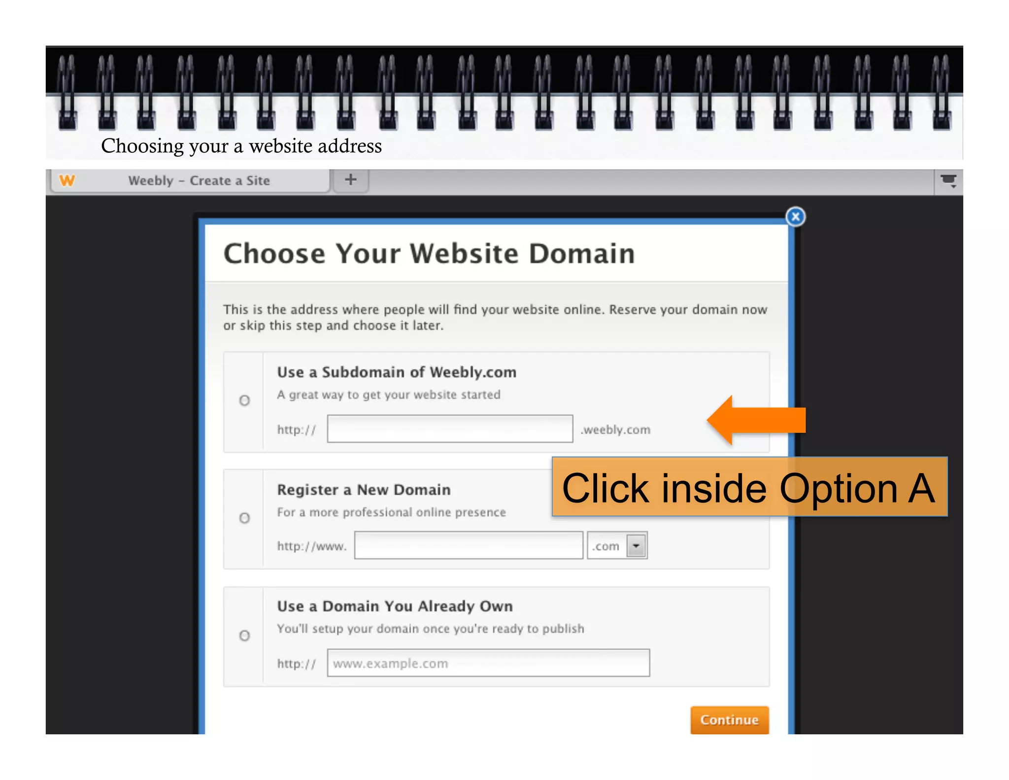 Choosing your a website address




                                  Click inside Option A
 