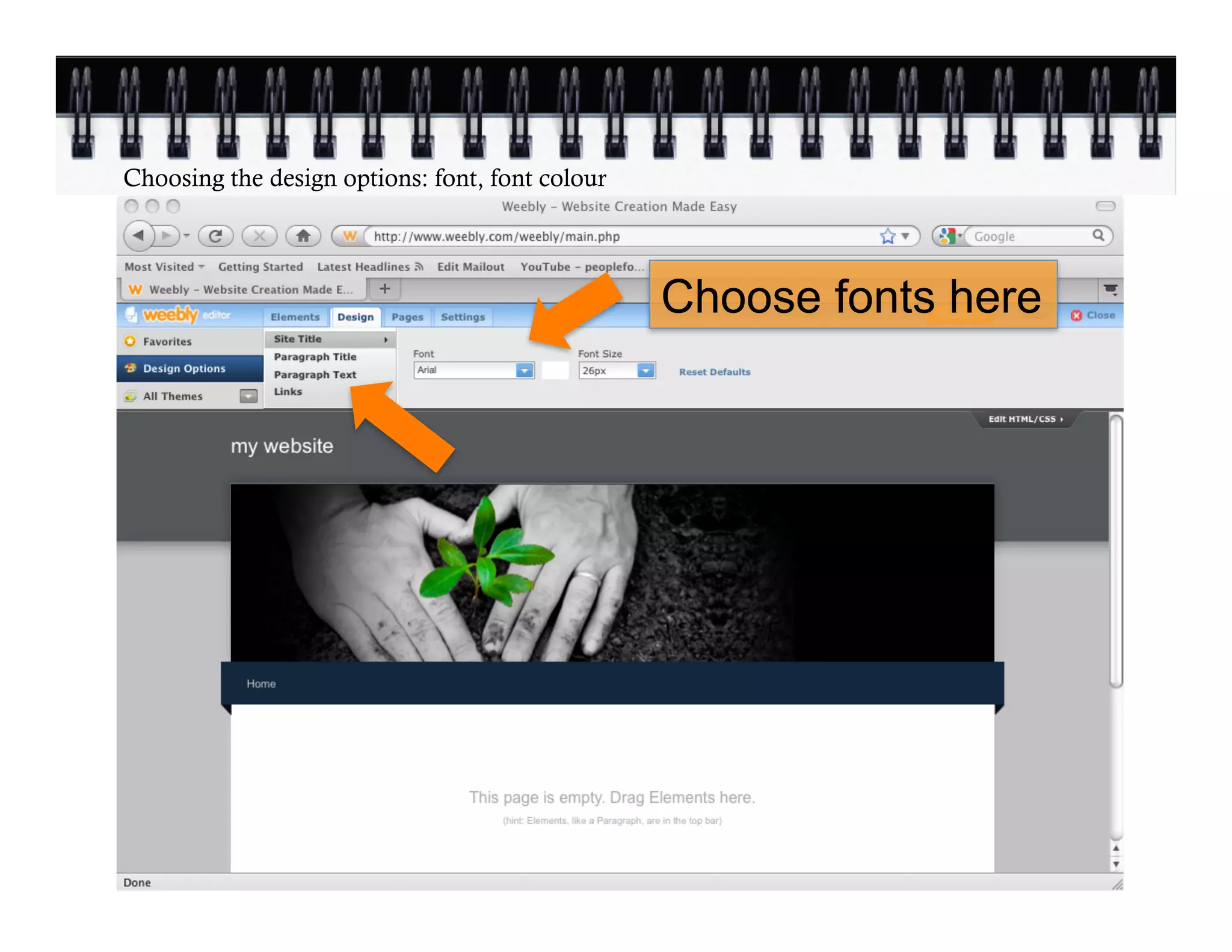 Choosing the design options: font, font colour




                                                 Choose fonts here
 