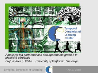 Améliorer les performances des apprenants grâce à la
 plasticité cérébrale
 Prof. Andrea A. Chiba   University of California, San Diego


Temporal Dynamics of Learning                     OECD 2012
 