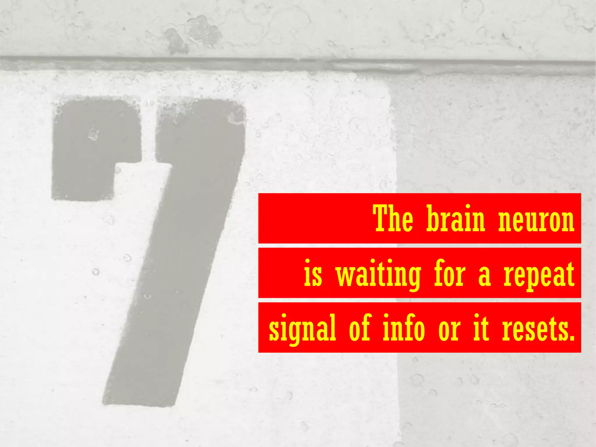 The brain neuron
   is waiting for a repeat
signal of info or it resets.
 