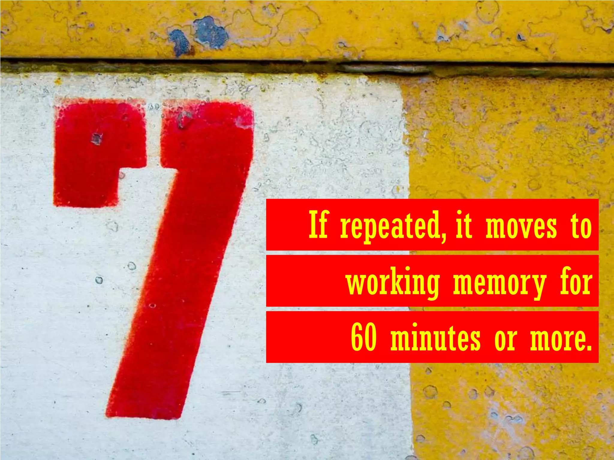 If repeated, it moves to
   working memory for
    60 minutes or more.
 