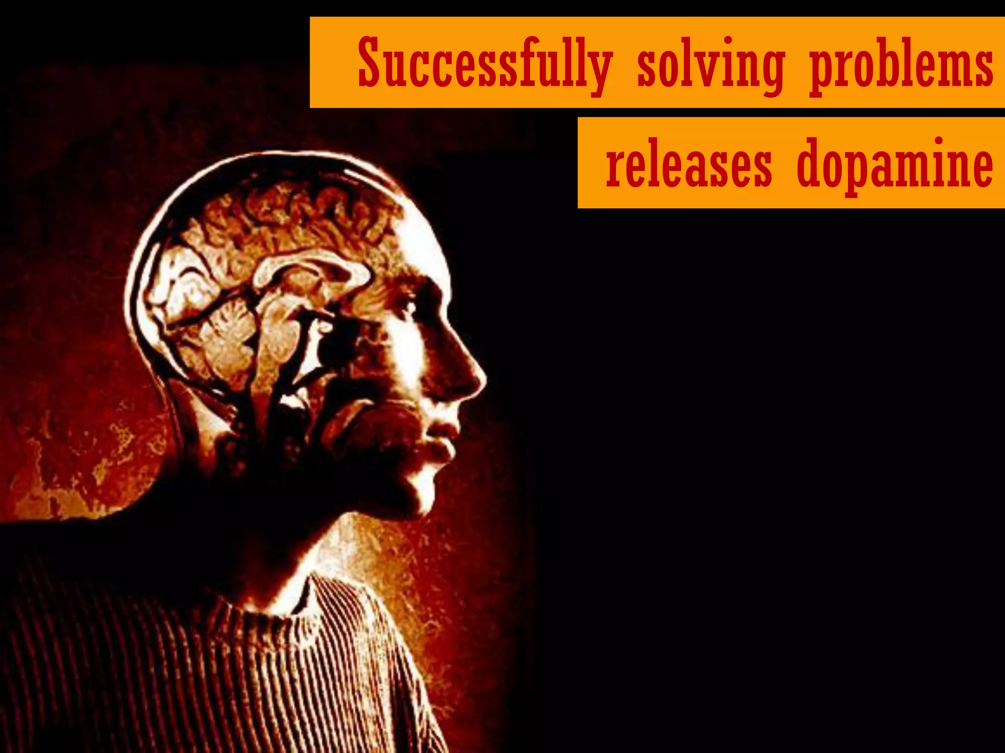 Successfully solving problems
            releases dopamine
 