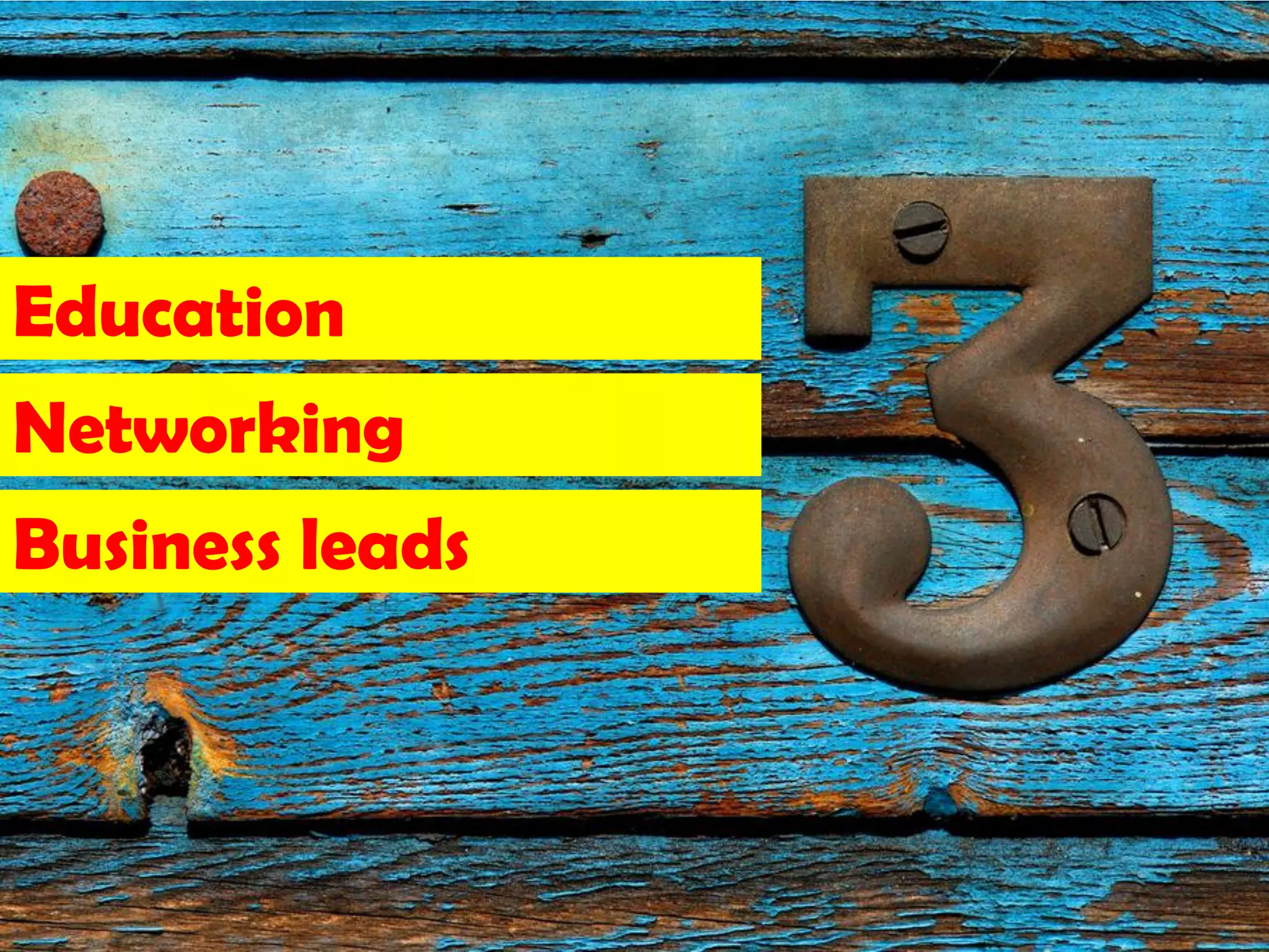 Education
Networking
Business leads



                 12
 