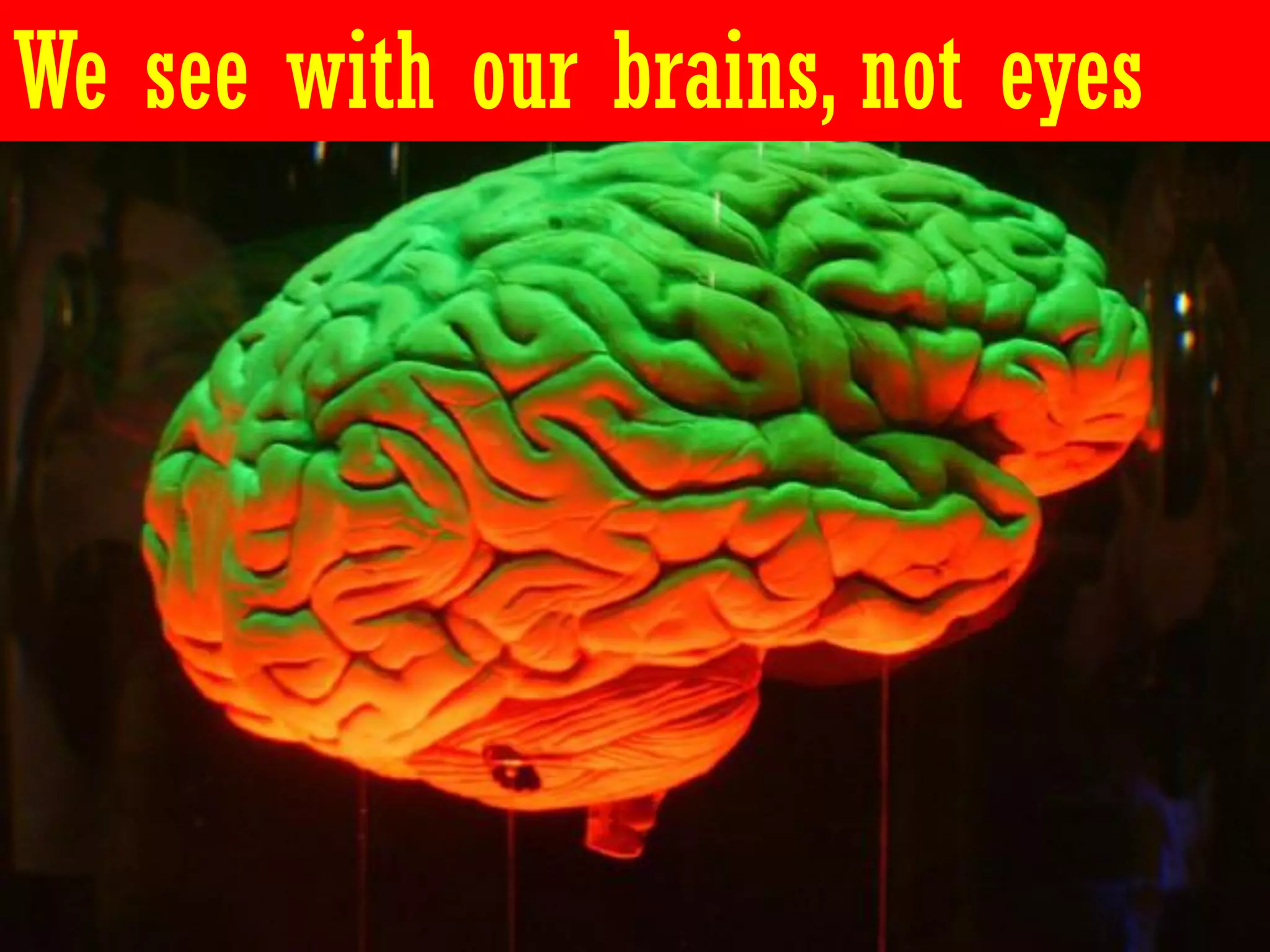 We see with our brains, not eyes
 