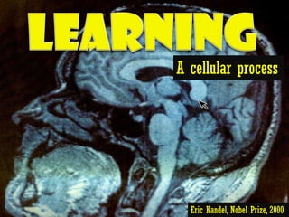 A cellular process




  Eric Kandel, Nobel Prize, 2000
 
