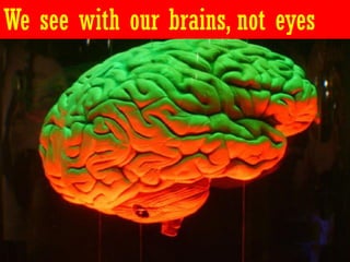 We see with our brains, not eyes
 