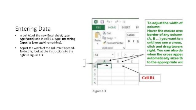 Making a Chart Using Excel