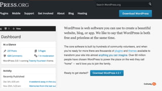 Clear CTAs and the danger of giving users too many options