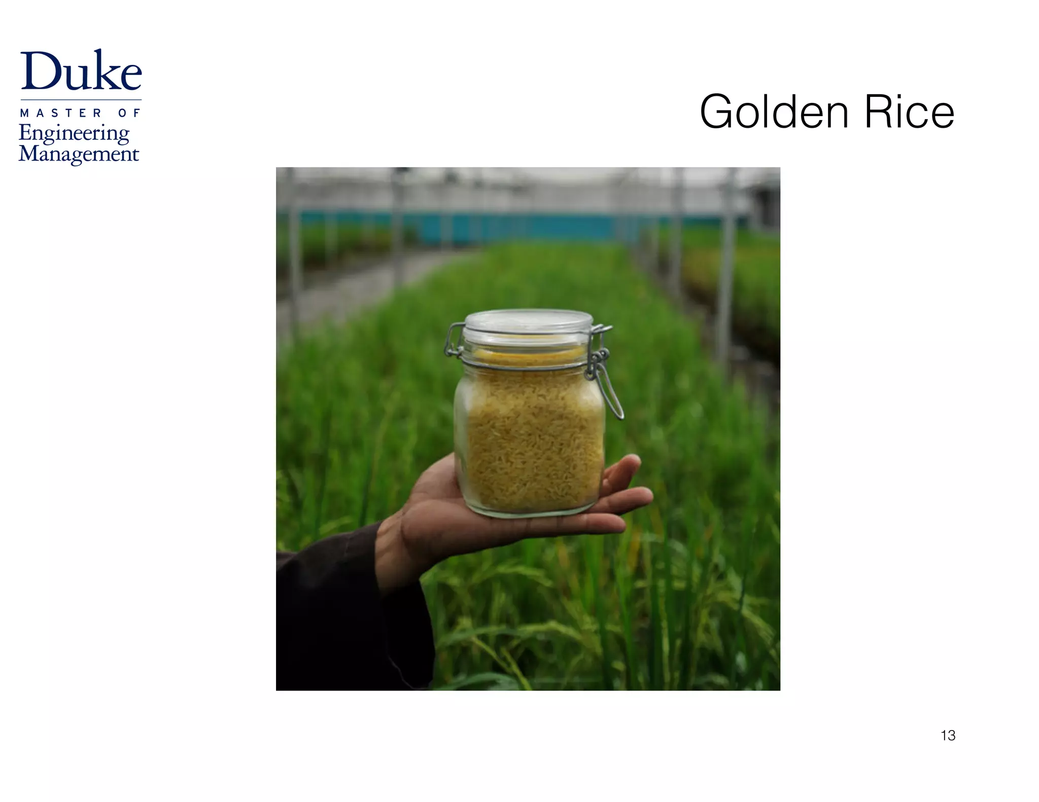 Golden Rice
13
 