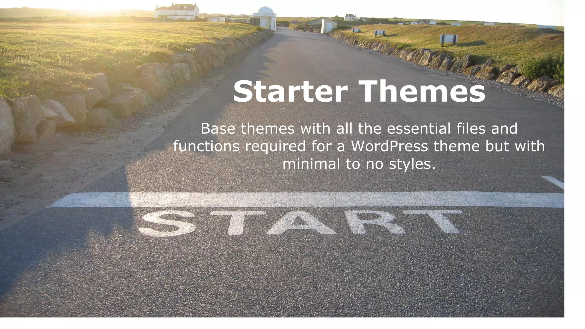 Starter Themes
Base themes with all the essential files and
functions required for a WordPress theme but with
minimal to no styles.

 