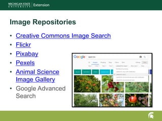 Image Repositories
• Creative Commons Image Search
• Flickr
• Pixabay
• Pexels
• Animal Science
Image Gallery
• Google Advanced
Search
 