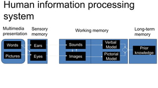 Human information processing
system
Words
Pictures
Ears
Eyes
Sounds
Images
Verbal
Model
Pictorial
Model
Prior
knowledge
Multimedia
presentation
Sensory
memory
Working memory Long-term
memory
 
