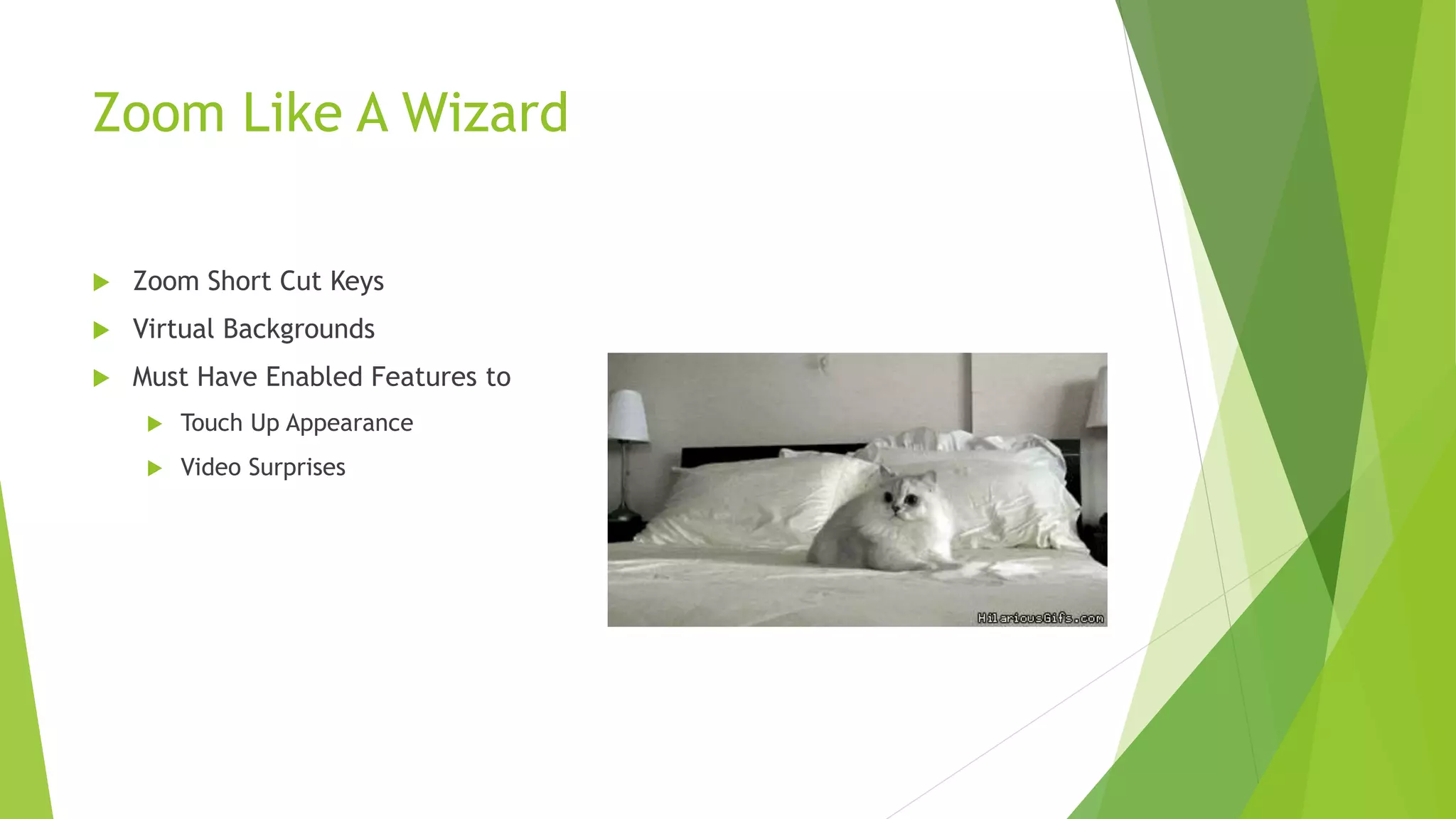 Zoom Like A Wizard
 Zoom Short Cut Keys
 Virtual Backgrounds
 Must Have Enabled Features to
 Touch Up Appearance
 Video Surprises
 